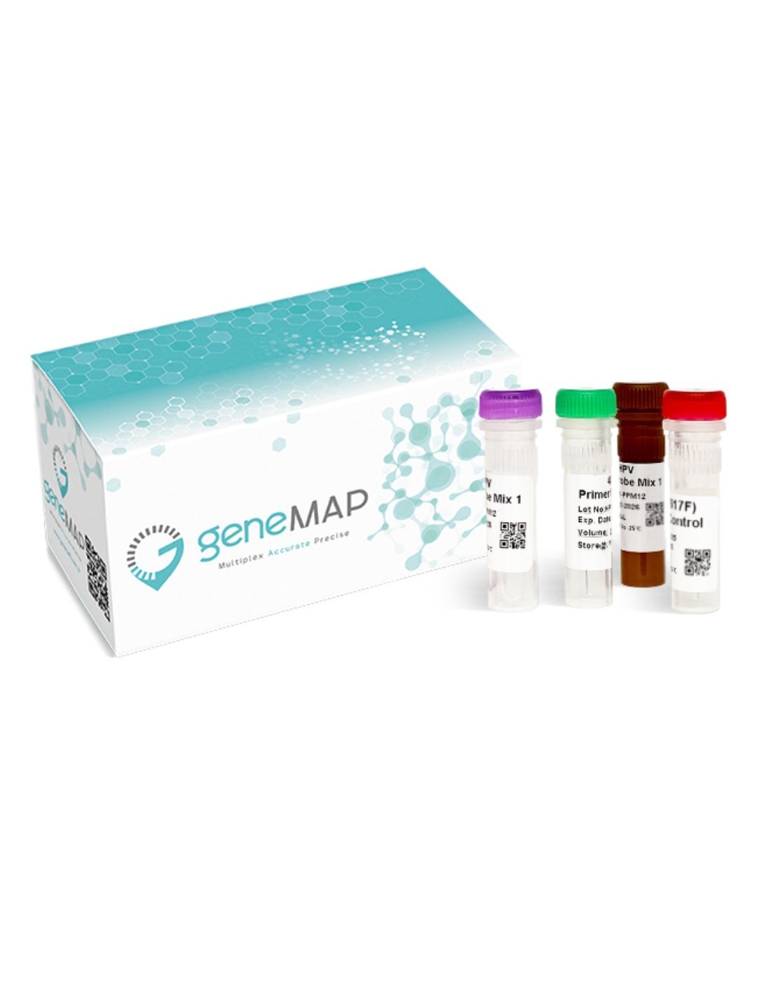 geneMAP™ PAI-1 4G/5G Mutation Detection Kit