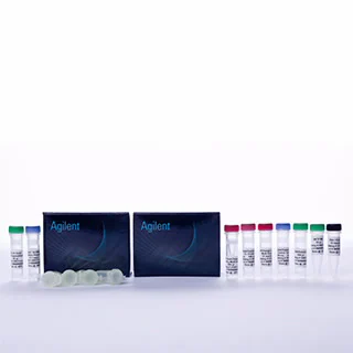 ClearSeq Comprehensive Cancer