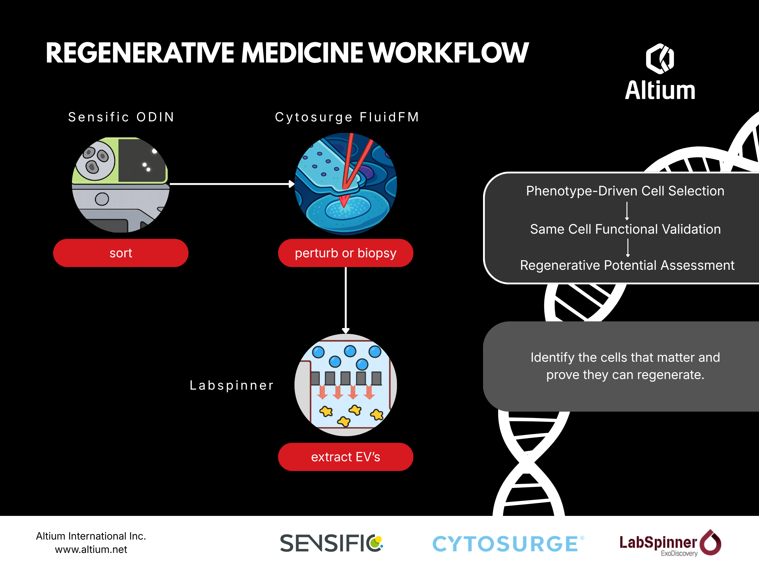Build your regenerative medicine workflow with Altium