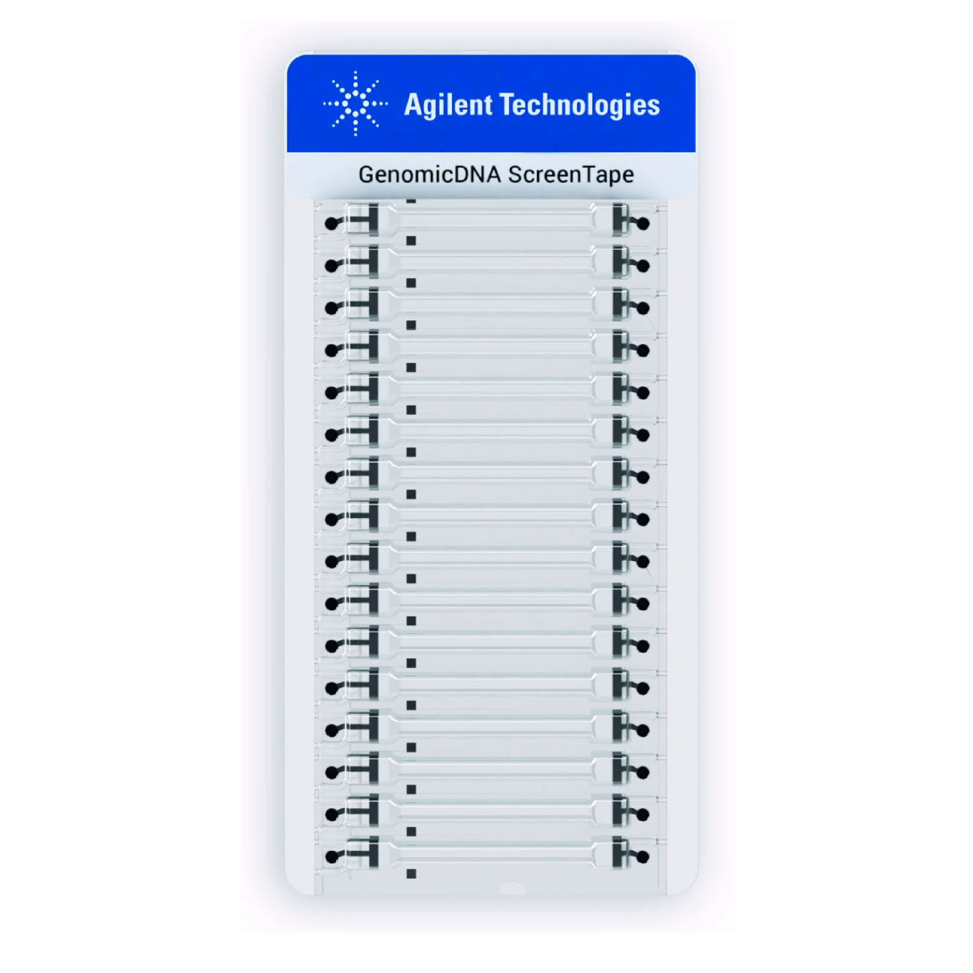 DNA ScreenTapes