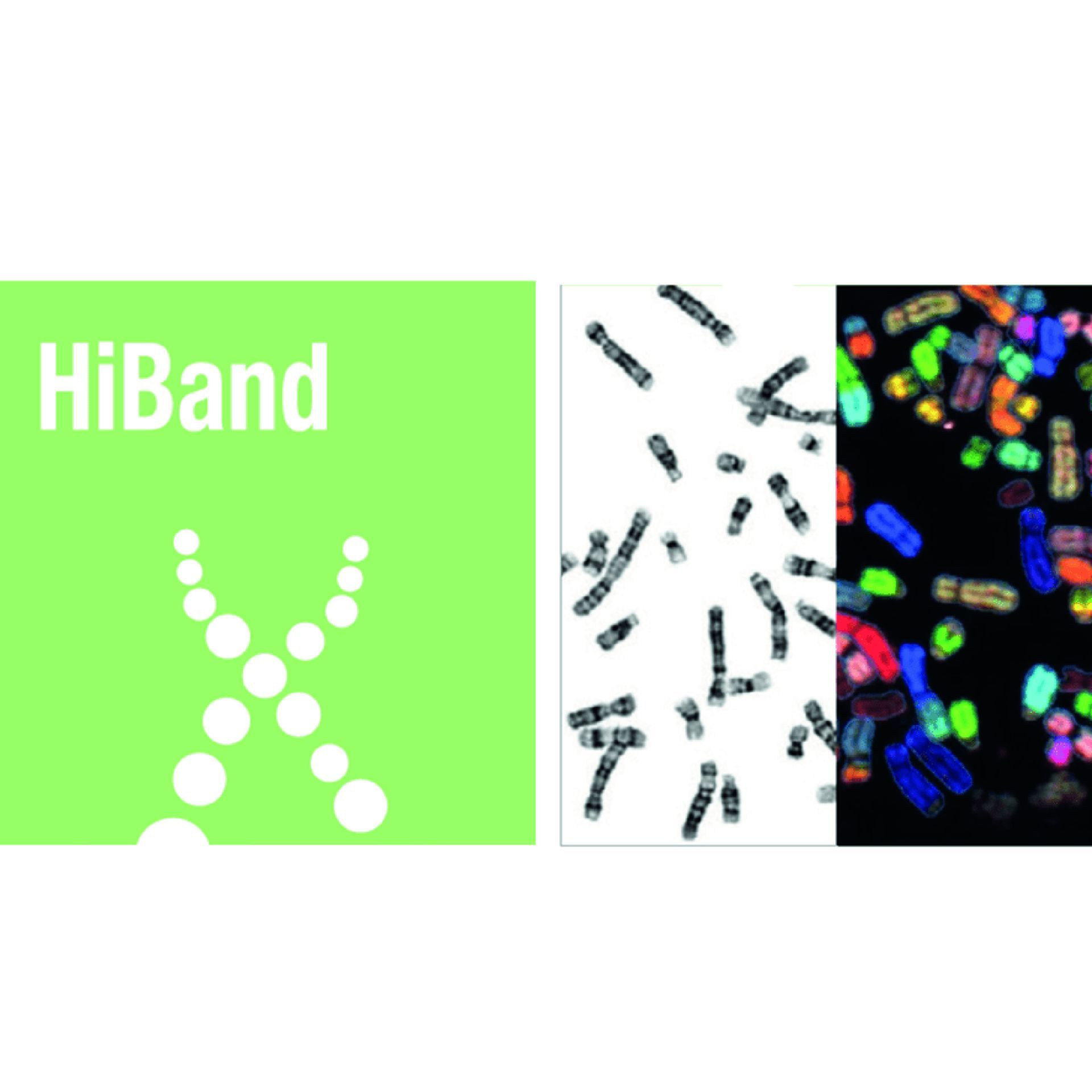 HiBand