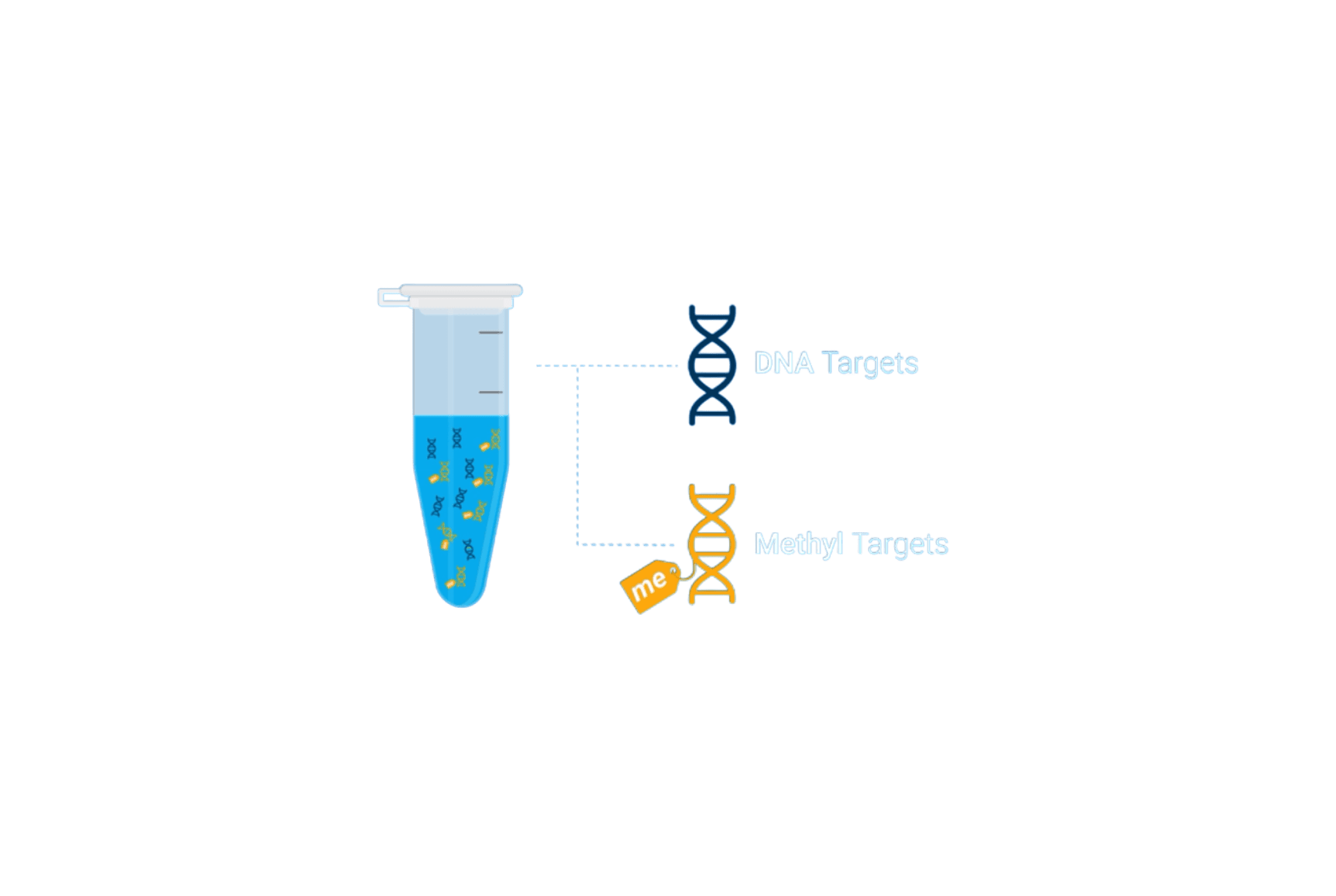 Agilent Avida Duo