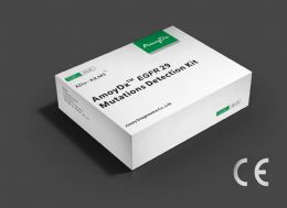 AmoyDx® EGFR 29 Mutations Detection Kit