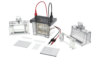 Elektroforéza DLAB