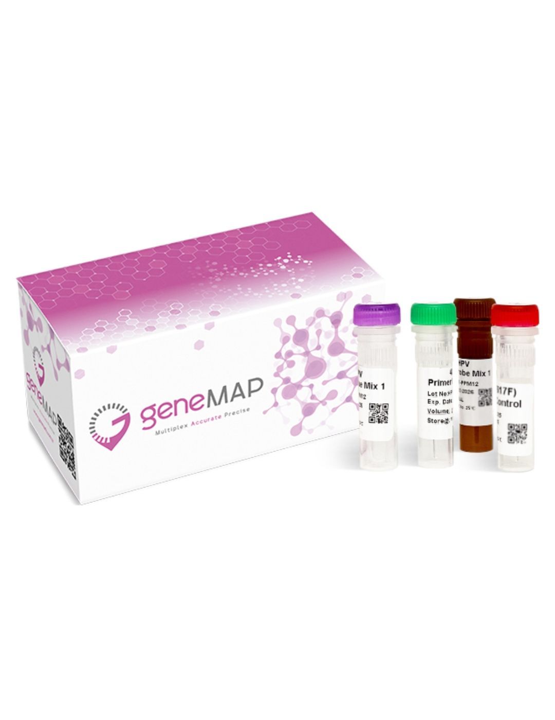 geneMAP™ MGMT Methylation Analysis Kit