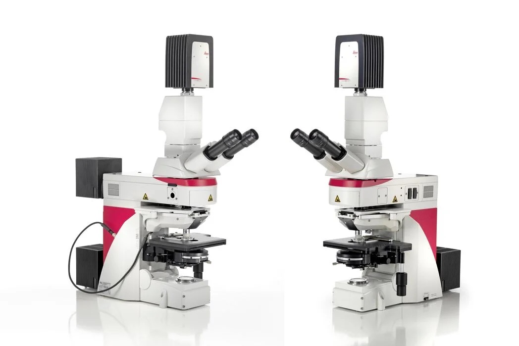 DM6 FS Fixed Stage Fluorescence Microscope
