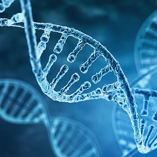 Cancer All-In-One Lung Assay