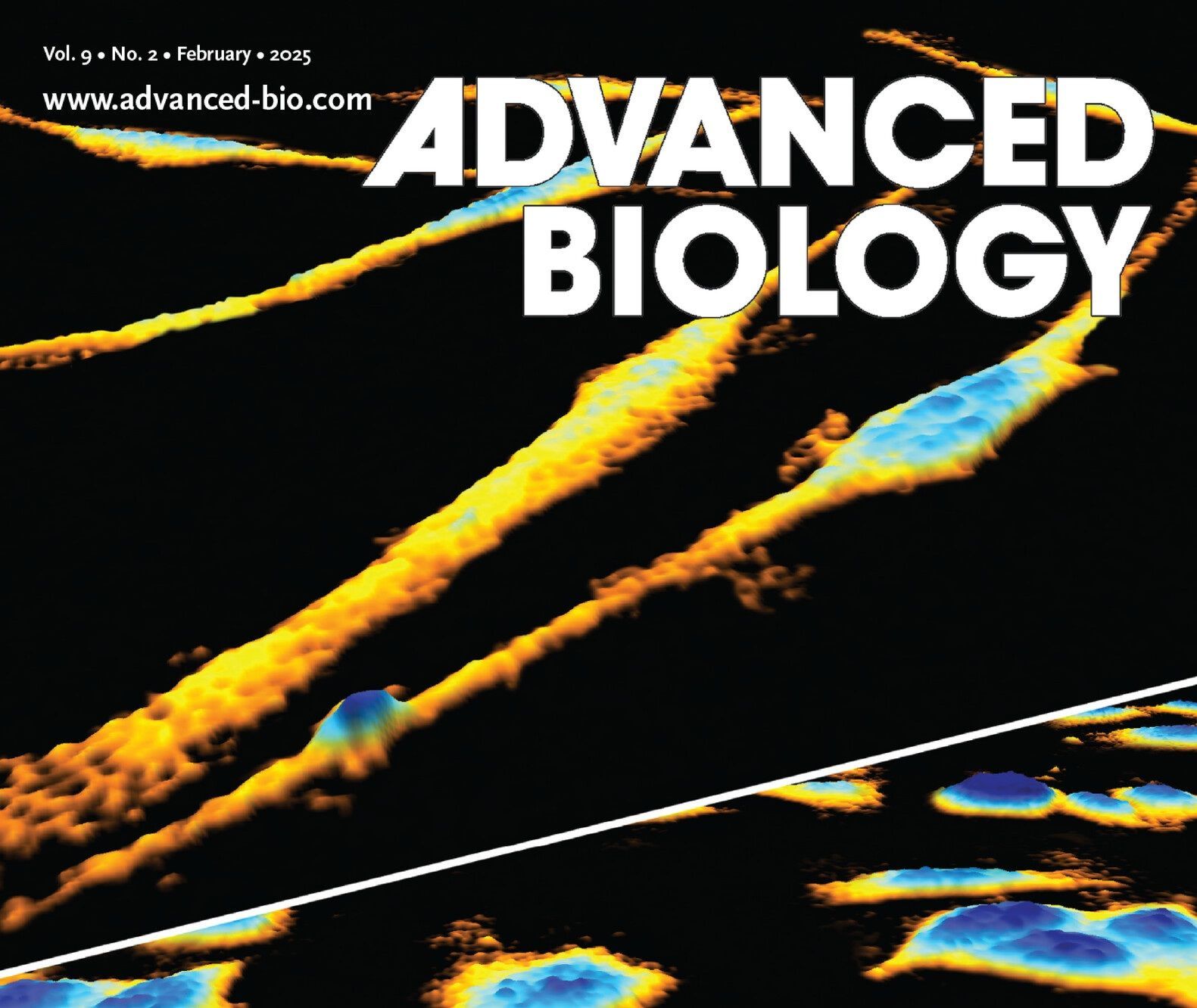 From Lab Bench to Journal Cover: HoloMonitor Images Featured on Advanced Biology