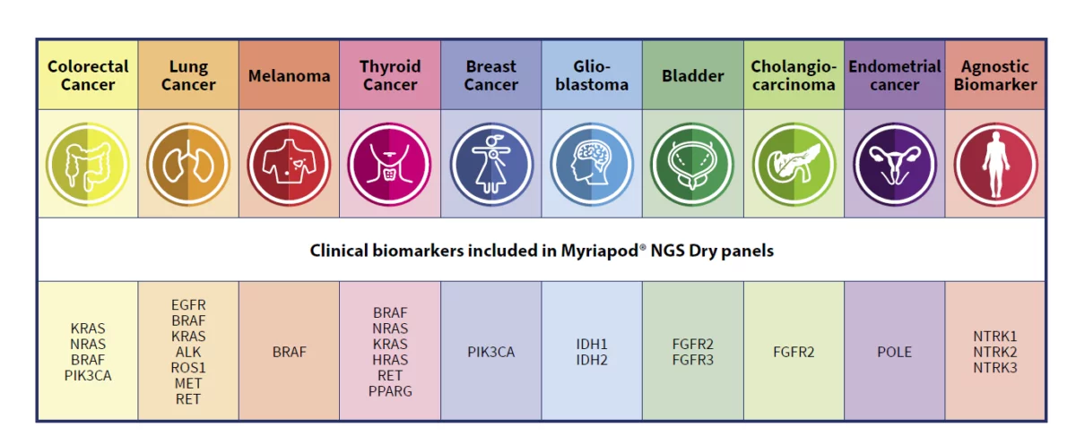 Myriapod NGS cancer panel RNA (48 test, CE IVD)