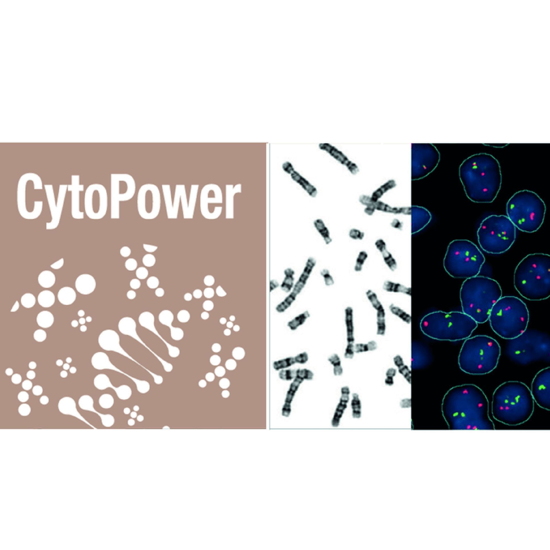 CytoPower
