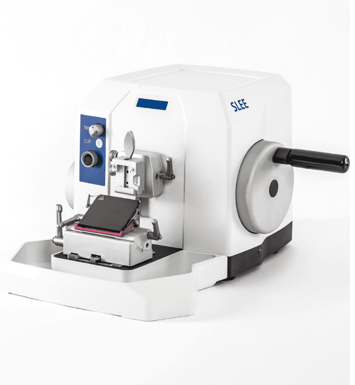 CUT 4062