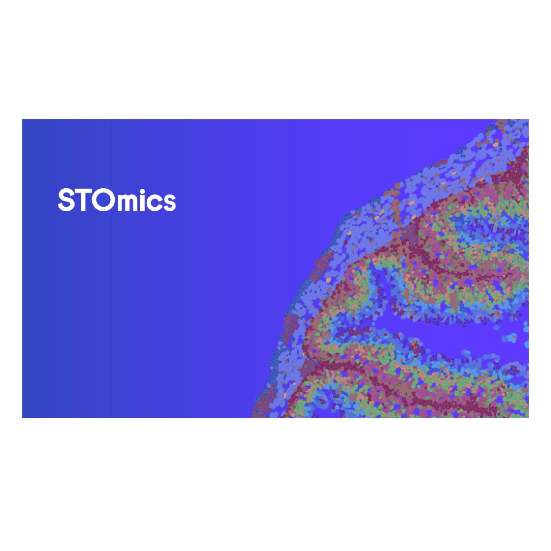 Stereo-seq Transcriptomics Solution v1.3