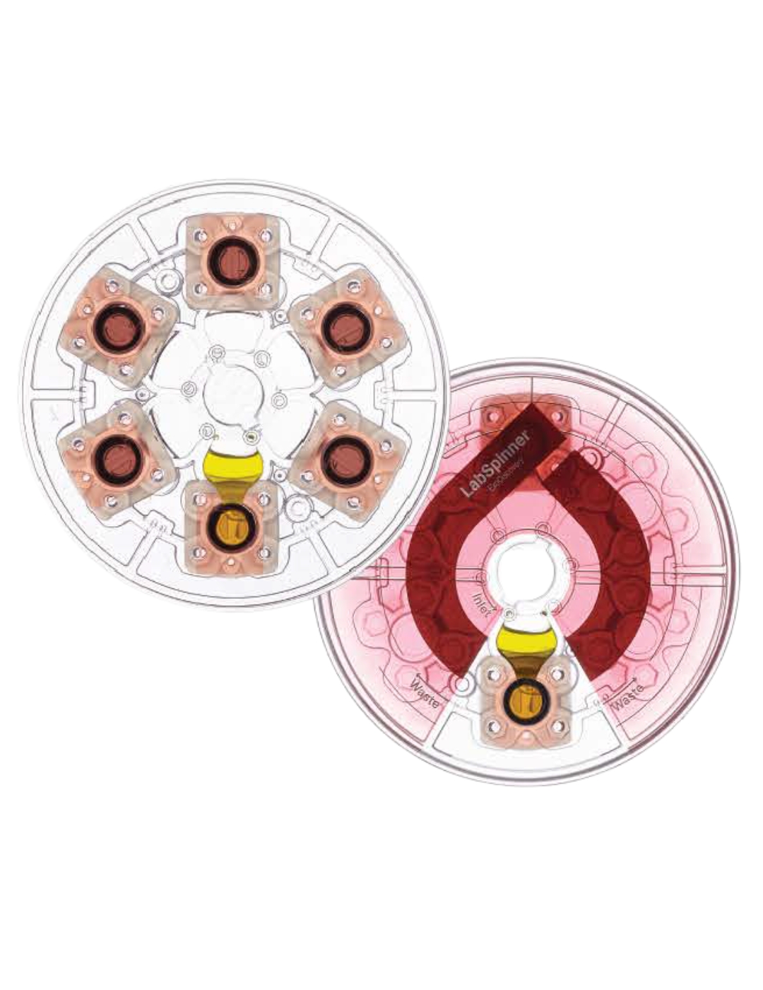 ExoDisc® D20 (20 nm)
