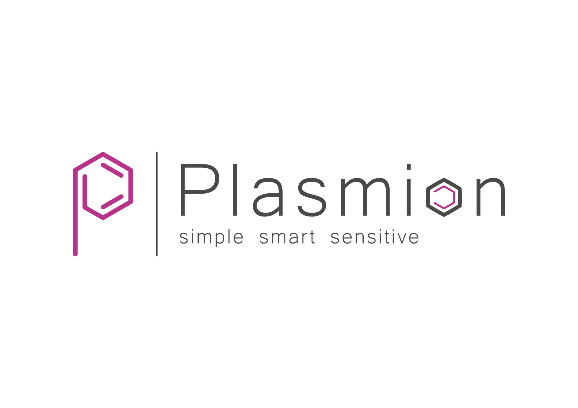 Plasmion